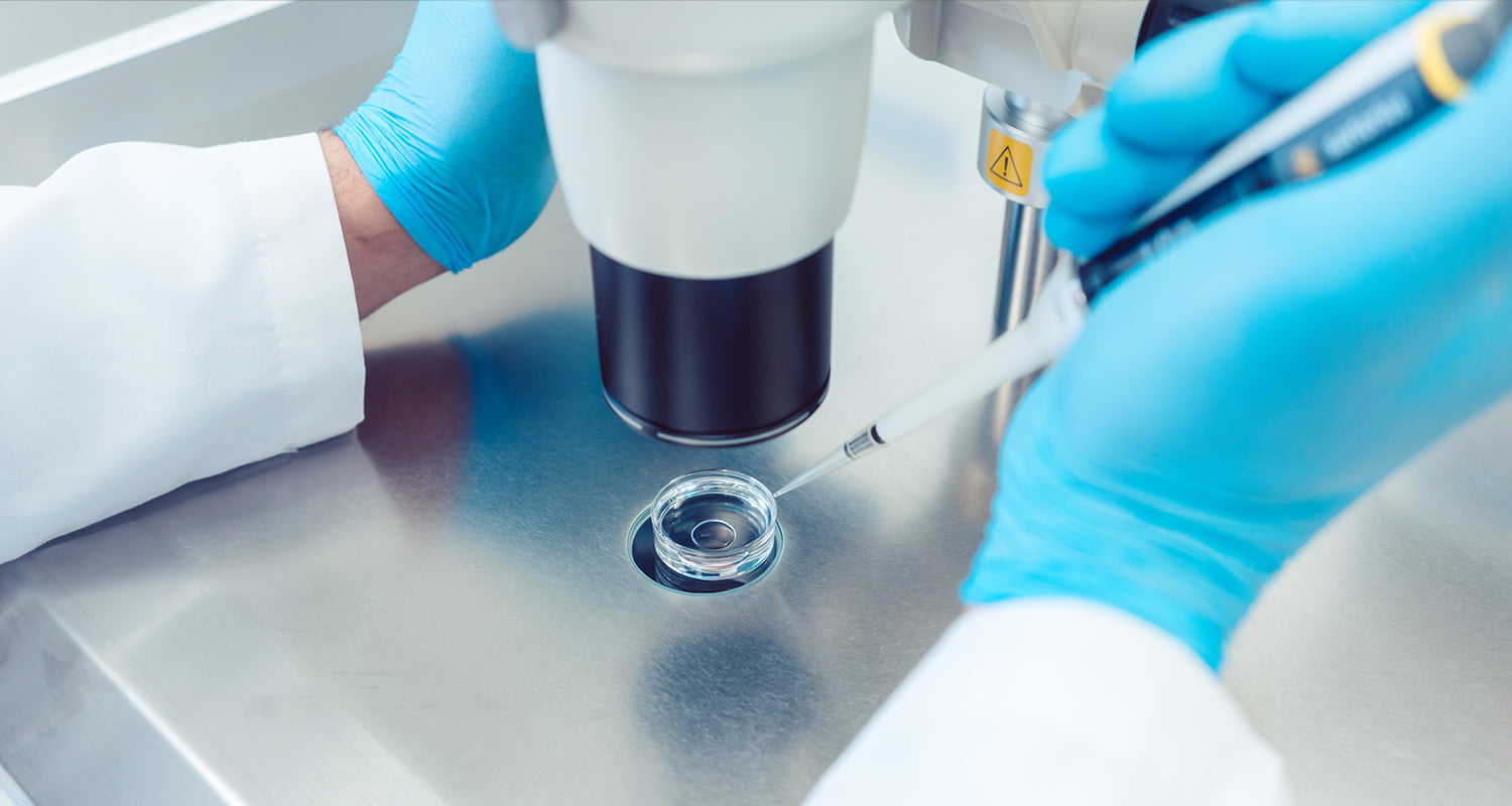 Analgesia, recobro e cuidados após punção para colheita de ovócitos e transferência embrionária