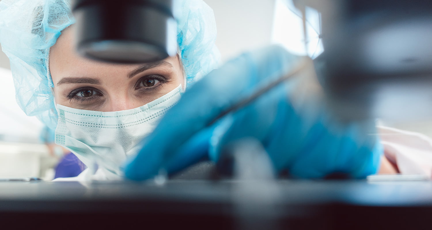 Desenvolvimento embrionário no laboratório de PMA